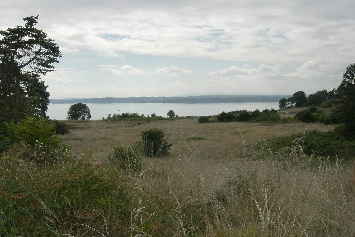 Photograph of Discovery Park Loop Trail