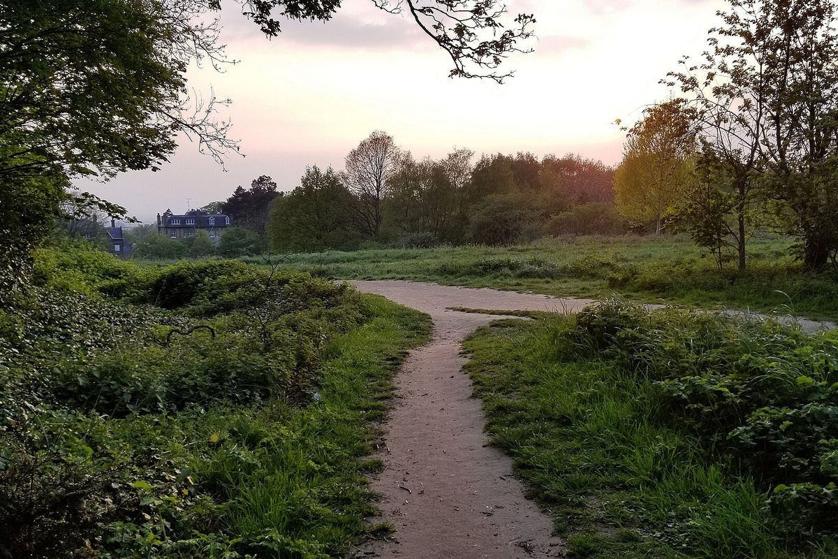 Photograph of Hampstead Heath