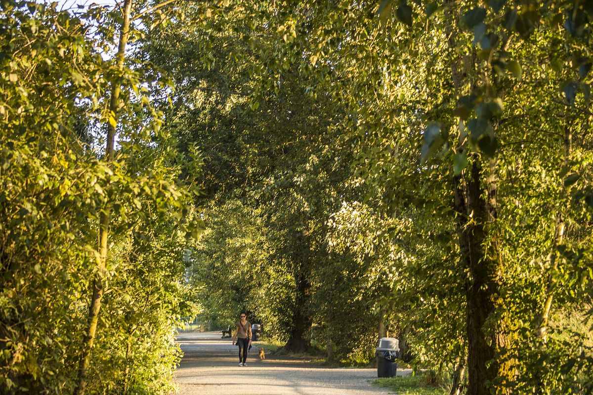 Photograph of Magnuson Park Off-Leash Area