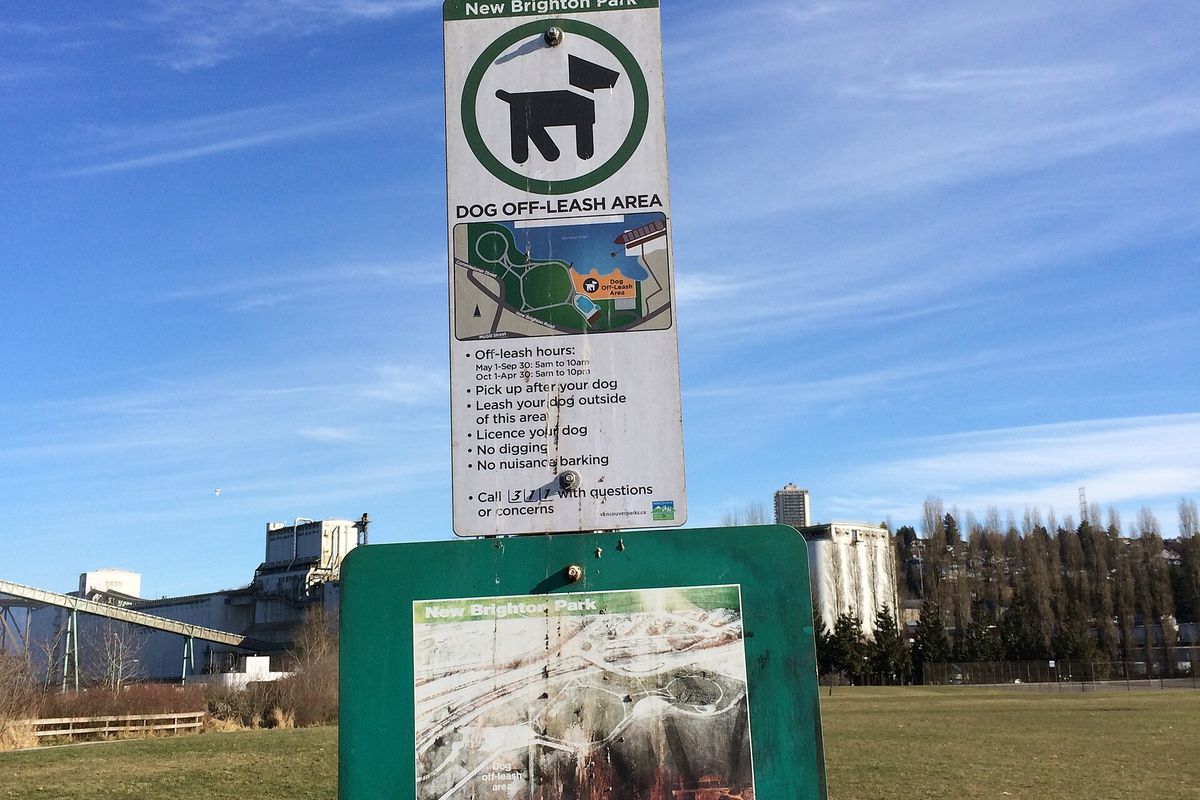Photograph of New Brighton Park