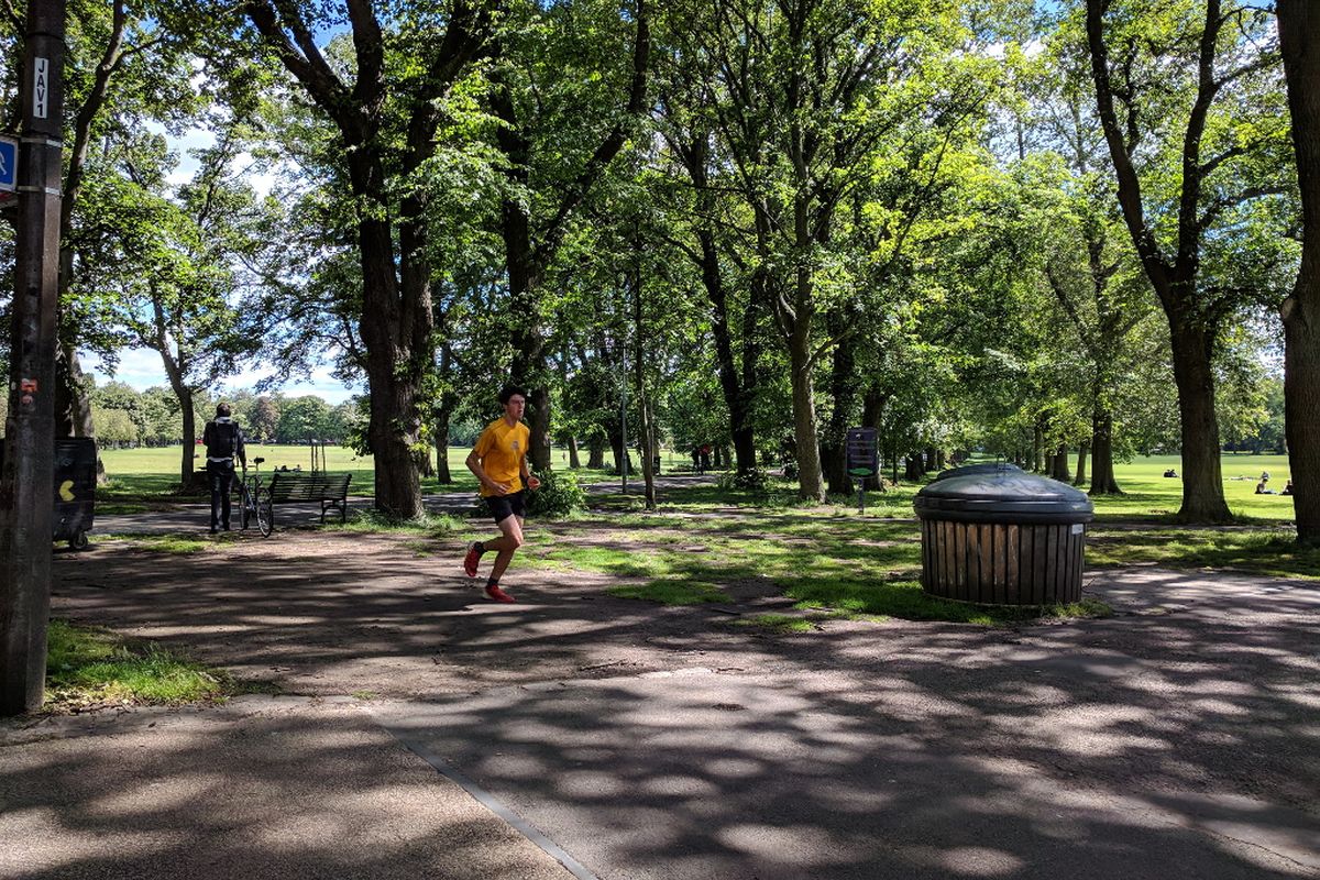 Photograph of The Meadows