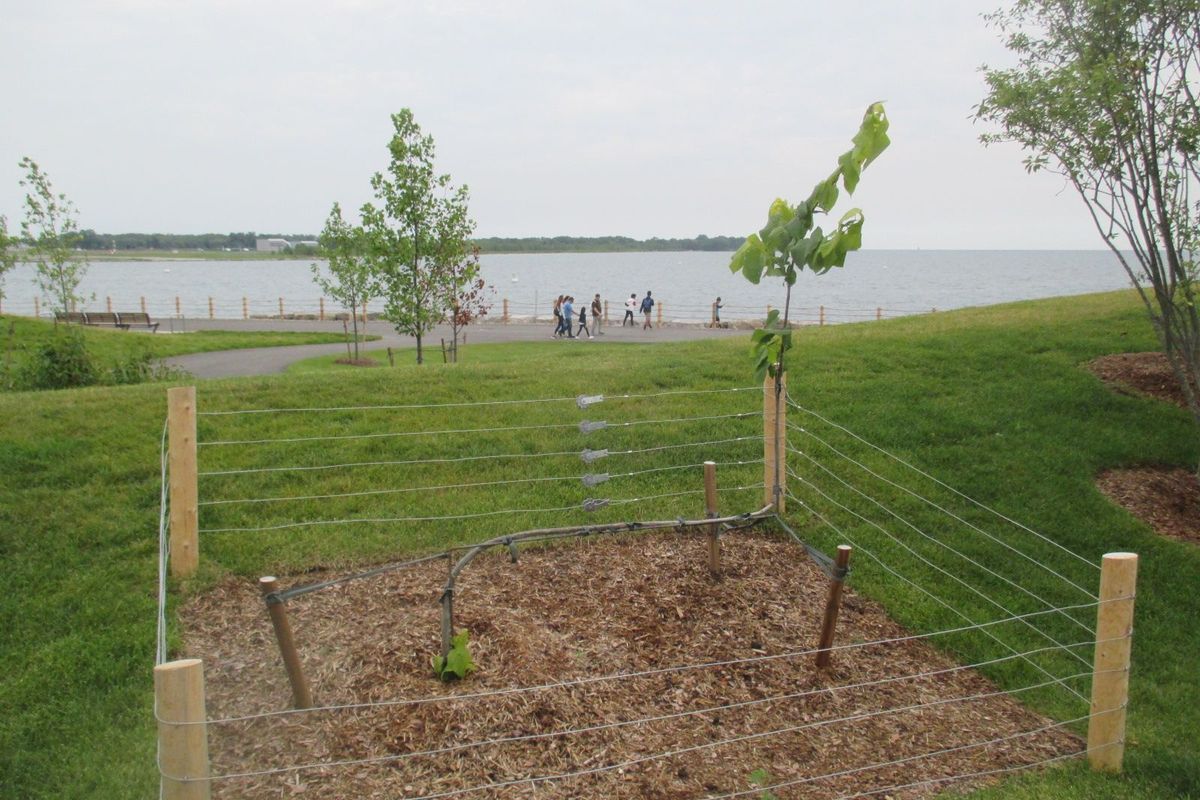Photograph of Trillium Park